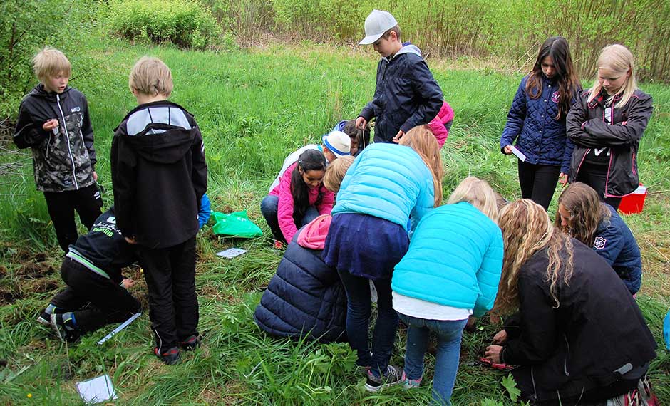 Elever från Fridhemsskolan i Gävle deltar i ForskarFredags massexperiment Tepåseförsöket, våren 2015.
