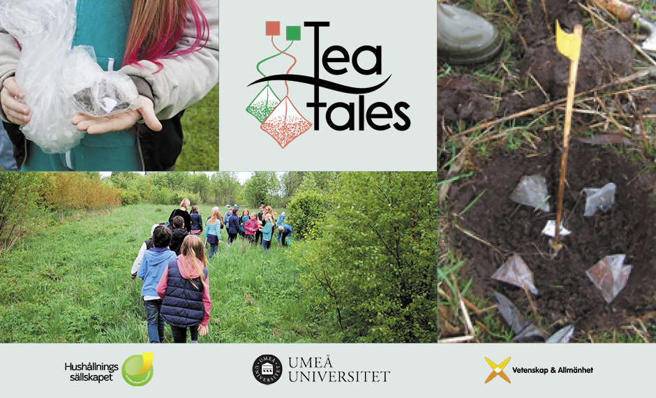 Workshop för lärare – så kan du använda tepåsar och markhälsa i din undervisning!